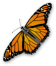 Yellow Butterfly HD PNG Images Free