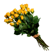 Yellow Rose Png images Download