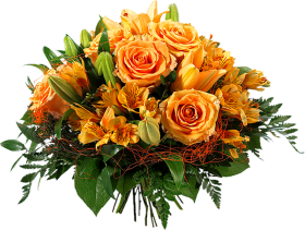 Yellow Roses Flowers Png For Editing